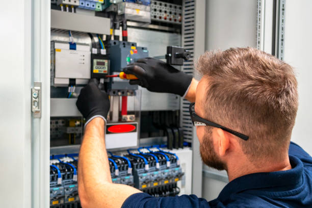 Best Electric Panel Repair  in Rosedale, MD